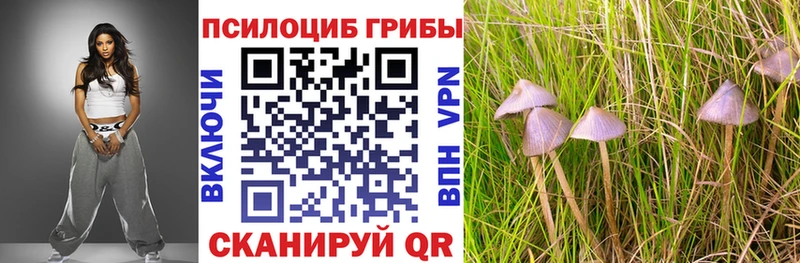 где купить   Чусовой  ссылка на мегу ССЫЛКА  Псилоцибиновые грибы Cubensis 